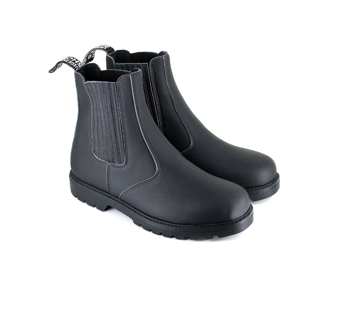 Chaussure Gobi 2 Boot