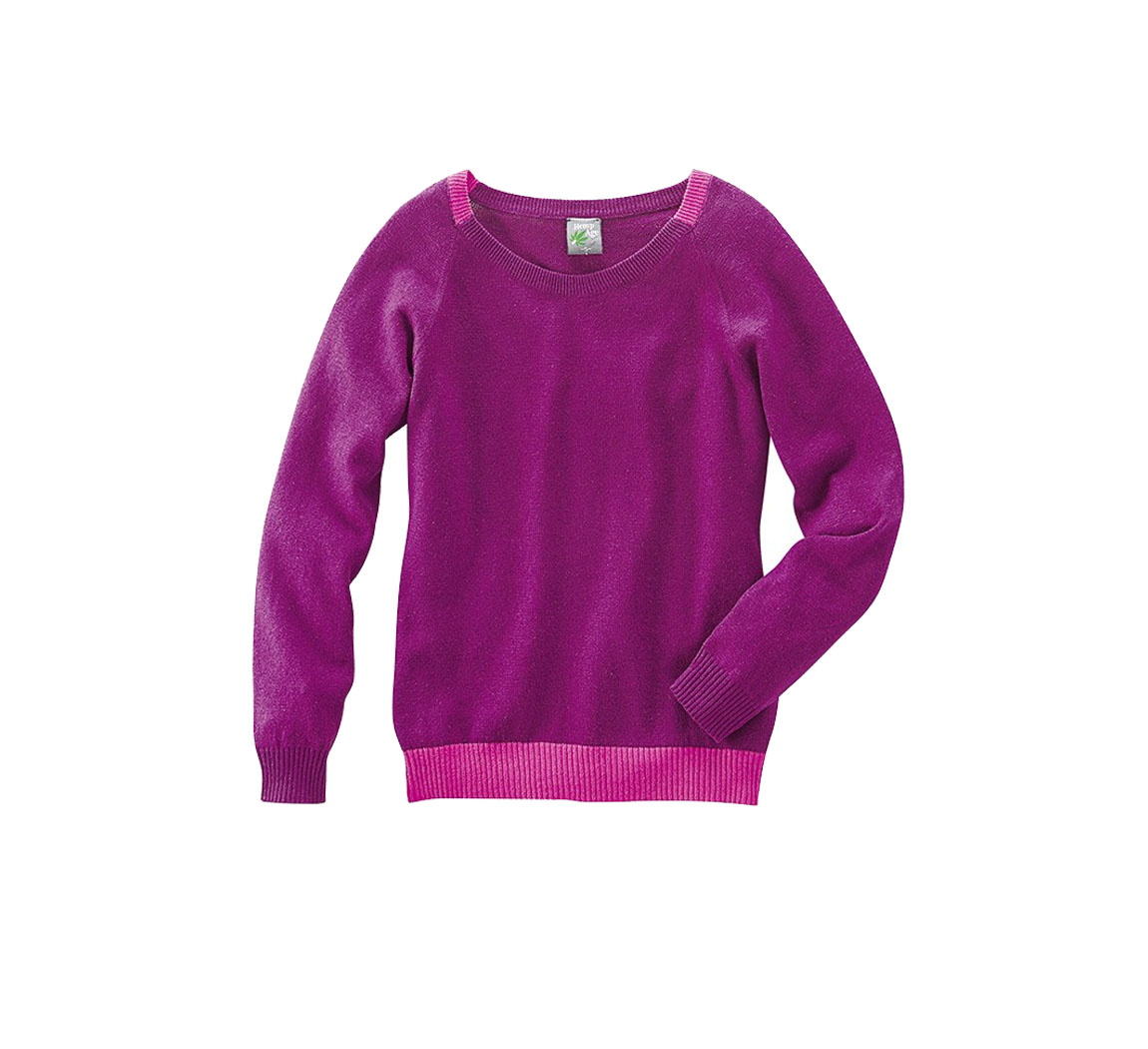 Vêtement Pullover Anke Vêtement Pullover Anke