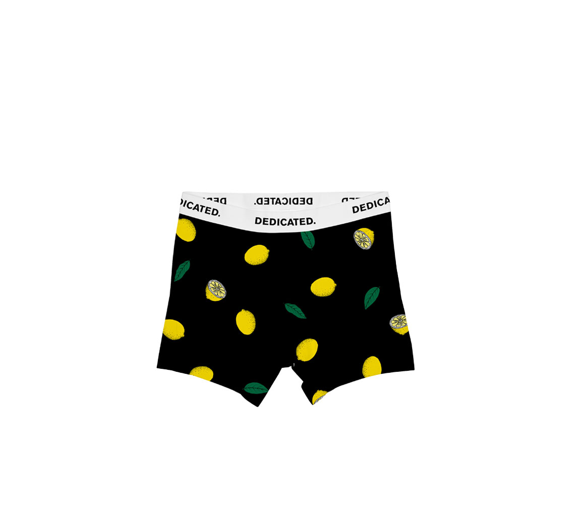 Boxer homme Boxer Briefs Kalix Boxer homme Boxer Briefs Kalix