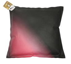 koussin3 Autre couleur