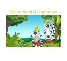 grise Autre couleur