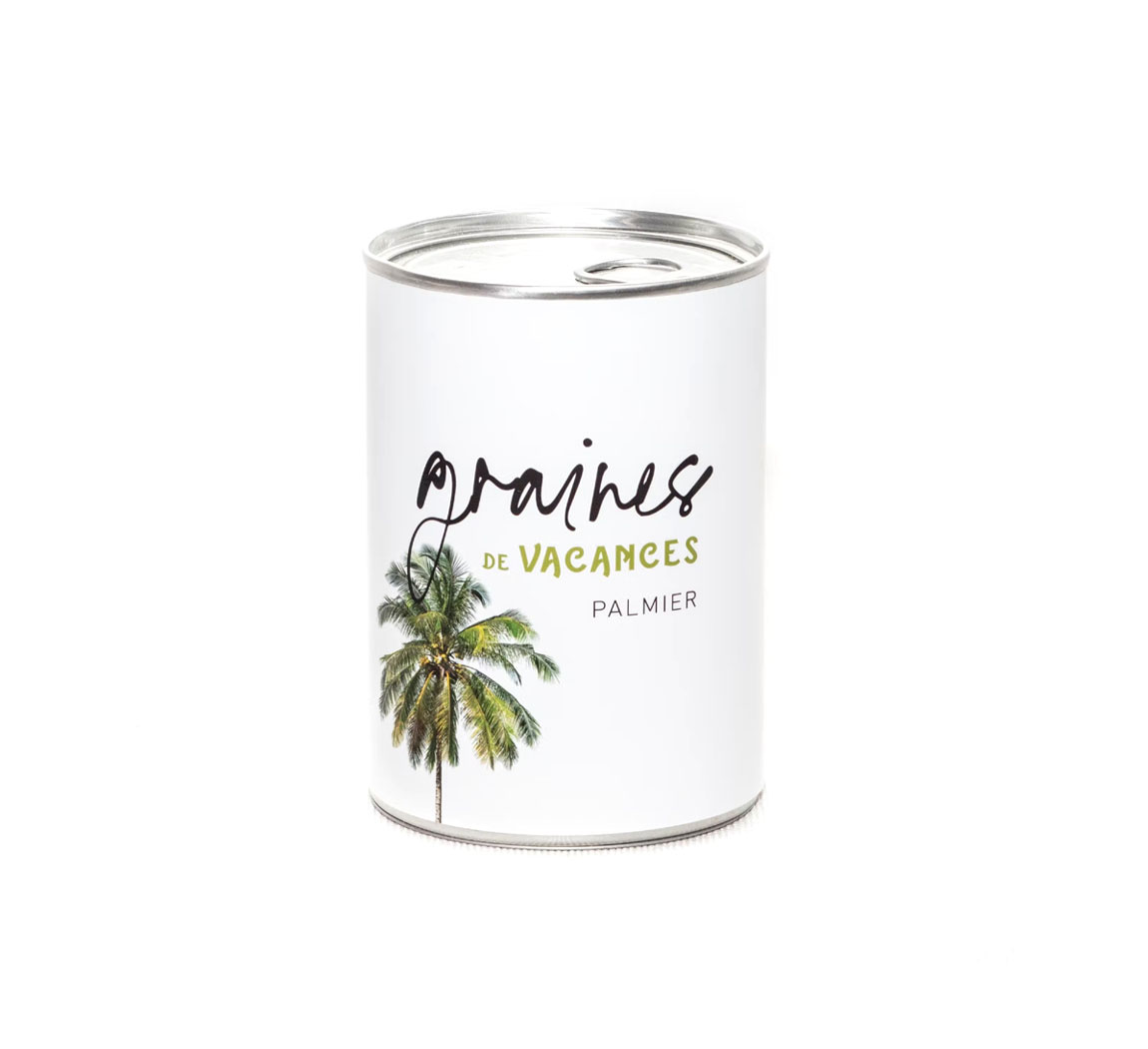 Palmier à planter Graines de vacances 