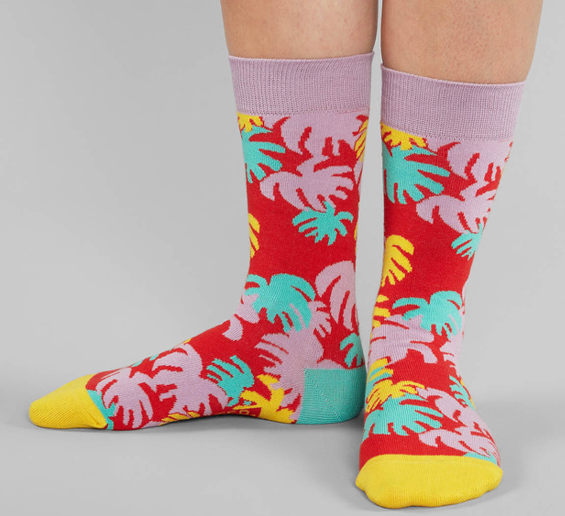 chaussettes dedicated en coton organique Chaussettes dedicated
