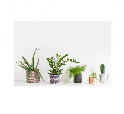 Vue 3