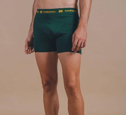 Organic Essential Boxer Briefs